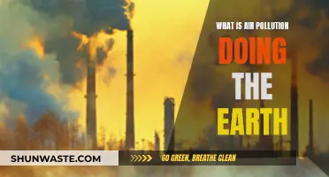 Air Pollution: Earth's Slow Poisoning