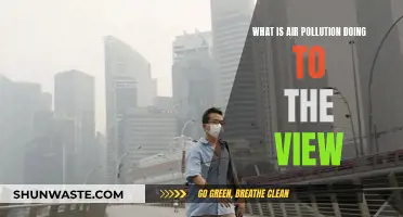 Air Pollution: How It's Ruining Our Views