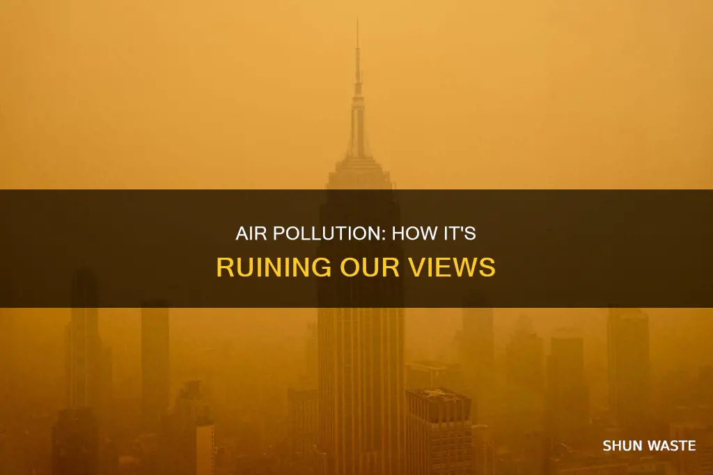 what is air pollution doing to the view