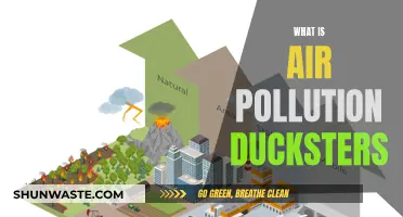 Air Pollution: A Duckster's Guide to Understanding