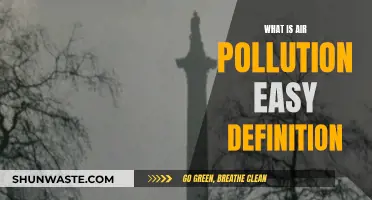Air Pollution: A Simple Definition and Its Impact