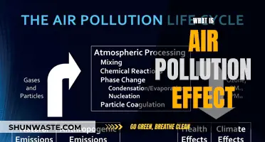 Air Pollution: Its Impact and Our Future