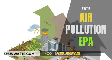 Understanding Air Pollution: EPA's Role and Impact