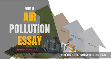 Air Pollution: Understanding the Crisis