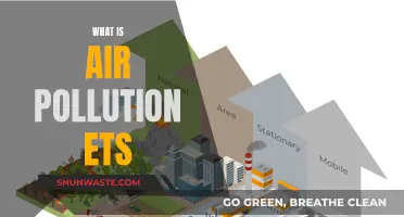 Air Pollution ETS: Understanding the Basics