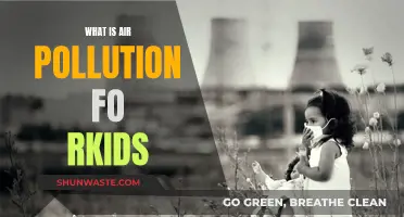 Air Pollution: A Dangerous Threat to Our Youngsters' Health