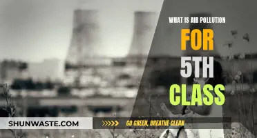 Air Pollution: A Dangerous Threat to Our Planet