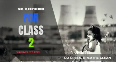 Air Pollution: Harmful Air for Young Lungs