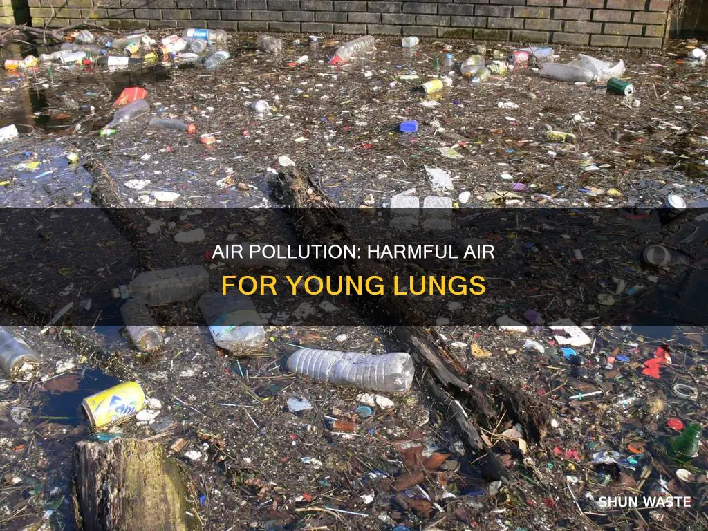 what is air pollution for class 2