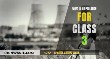 Air Pollution: A Harmful Hazard for Our Planet