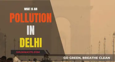 Delhi's Air Pollution: A Crisis Unfolding