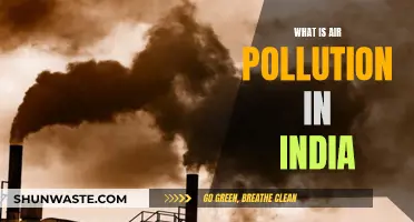 Air Pollution in India: A Critical Analysis