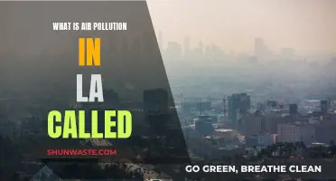 The Smoky Haze of LA's Air Pollution