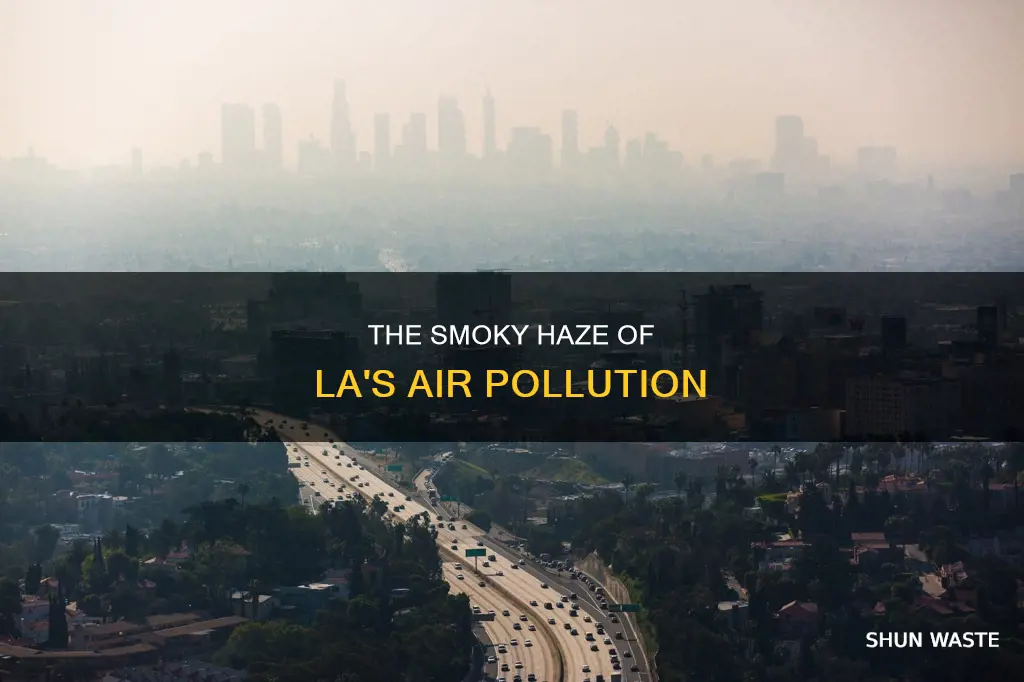 what is air pollution in la called