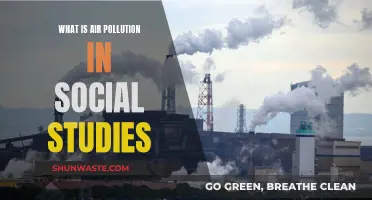 Air Pollution: A Social Studies Perspective