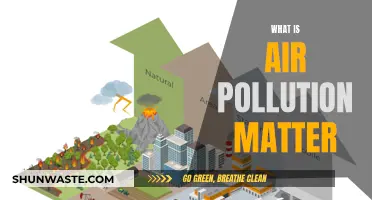 Air Pollution: Understanding the Matter at Hand