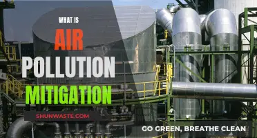 Air Pollution Mitigation: Strategies for Cleaner Air