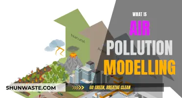 Air Pollution Modelling: Predicting Our Future
