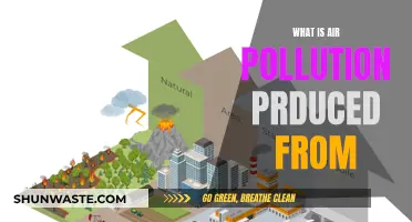 Air Pollution: Sources and Their Impact