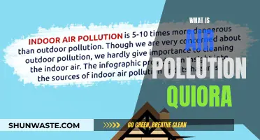 Air Pollution: Quora's FAQs Explained