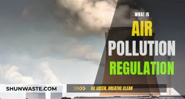 Air Pollution Regulation: Understanding the Rules for Clean Air