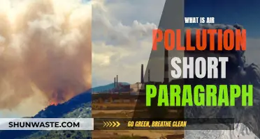 Air Pollution: A Deadly Crisis