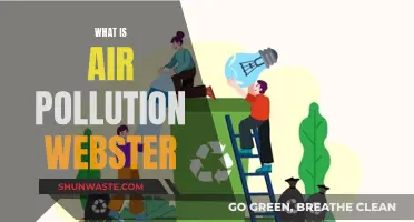 Air Pollution: Webster's Definition and More