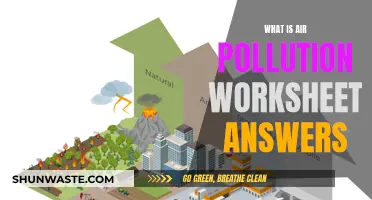 Air Pollution Worksheet: Understanding the Answers
