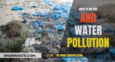 Understanding the Impact: Air, Soil, and Water Pollution Explained