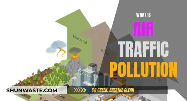 Air Pollution: Understanding the Air We Breathe