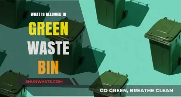 Green Waste Bin Guidelines: What You Can and Cannot Dispose Of
