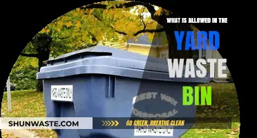 Yard Waste Bin Guide: What’s Allowed and What’s Not