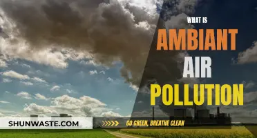 Air Pollution: Understanding the Invisible Threat
