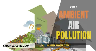 Air Pollution: Understanding the Invisible Danger Around Us