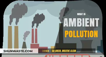 Understanding Ambient Pollution and Its Impact