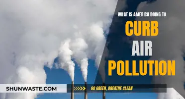 America's Air Pollution: Strategies and Solutions