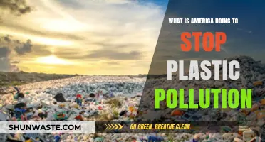 America's Efforts to End Plastic Pollution