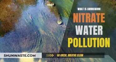 Ammonium Nitrate's Impact: Water Pollution Explained