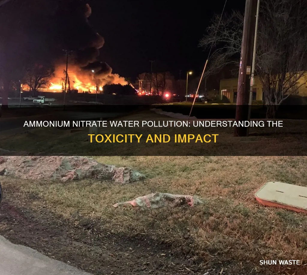 what is ammonium nitrate water pollution