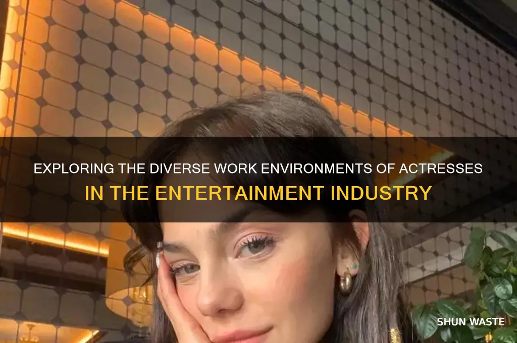 what is an actress work environment