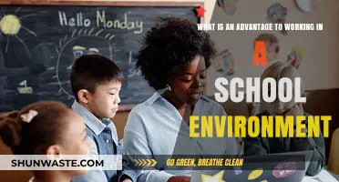 School Jobs: Unique Benefits of Working in Education Environments