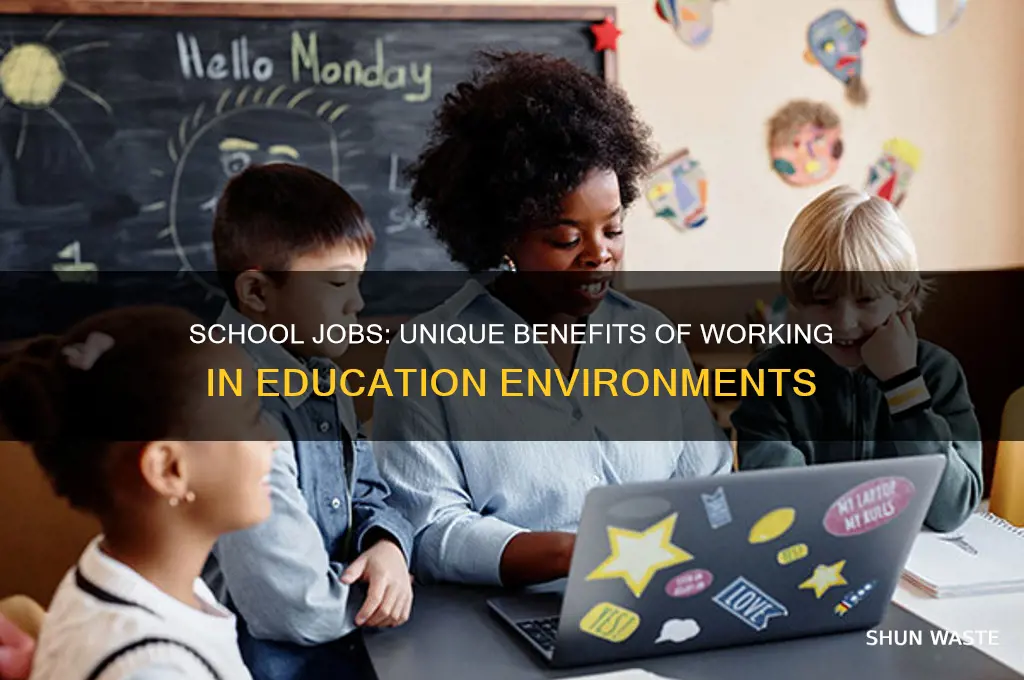 what is an advantage to working in a school environment