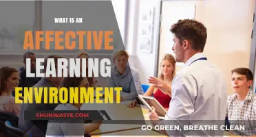 Creating Affective Learning Environments: Enhancing Emotional Engagement in Education