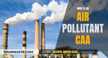 Air Pollution: Understanding the Clean Air Act