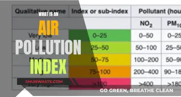 Understanding Air Quality: Pollution Index Explained
