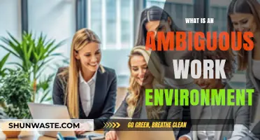Decoding Ambiguity: Understanding the Complexities of Unclear Work Environments