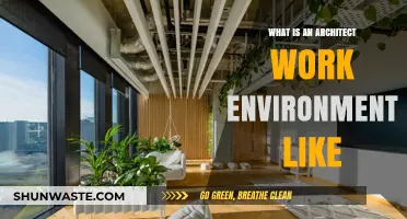 Exploring the Dynamic Work Environment of Architects: Challenges and Rewards