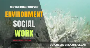Understanding the Average Expectable Environment in Social Work Practice