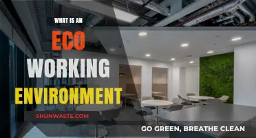 Creating Sustainable Eco-Friendly Workspaces: Benefits and Implementation Tips