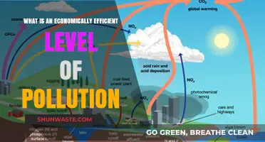 Pollution's Economic Efficiency: Finding the Balance